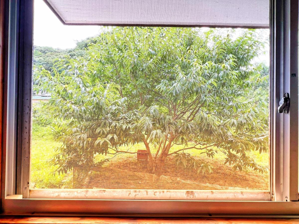 Hotel Iriyama-So à Shimoda  Extérieur photo